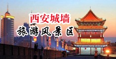 操ol美女骚逼中国陕西-西安城墙旅游风景区